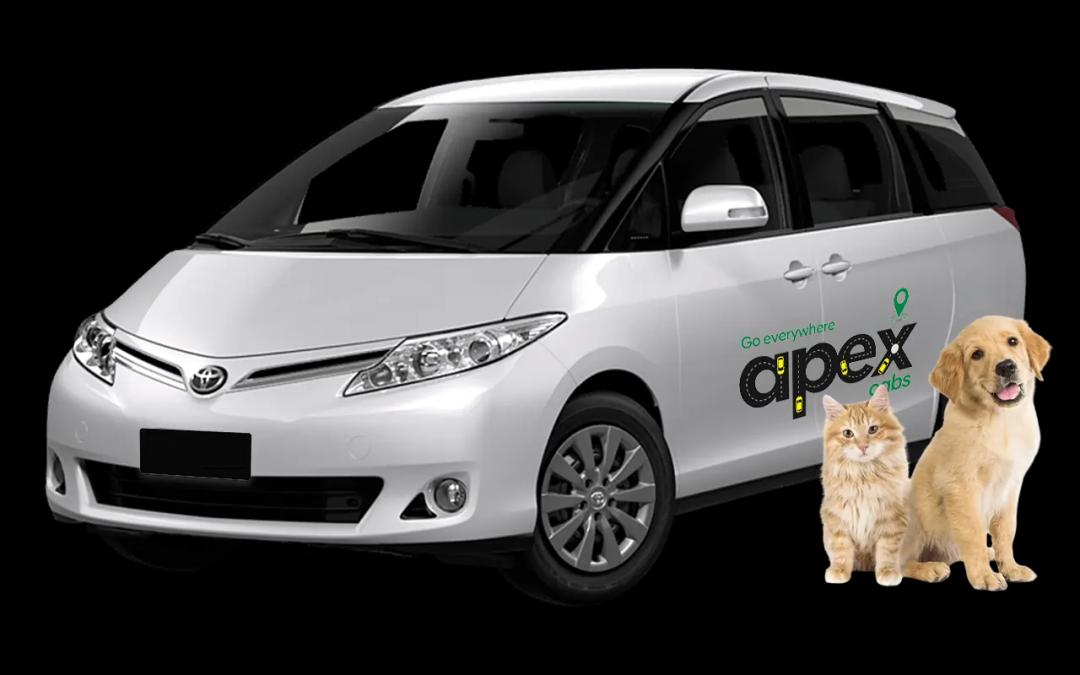 Cabs for Pets