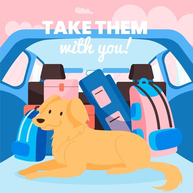petTaxiBanner