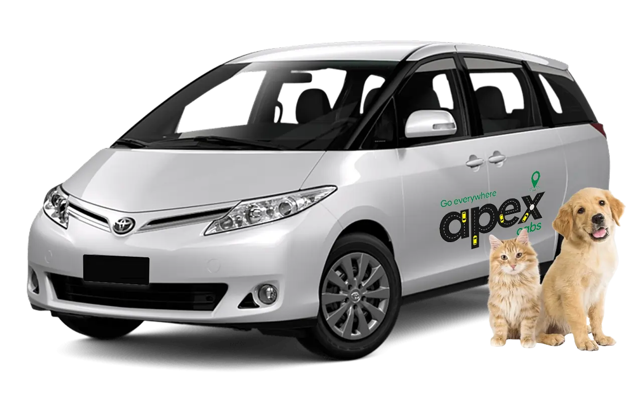 Cabs for Pets